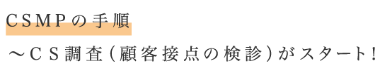 CSMPの手順