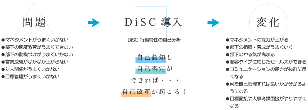 DiSC導入