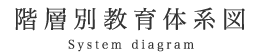 階層別教育体系図