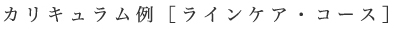 ラインケアコース　例