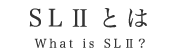 SLⅡとは